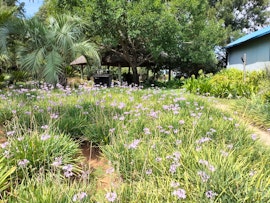 North West Accommodation at Kleinplaas Guest Farm | Viya