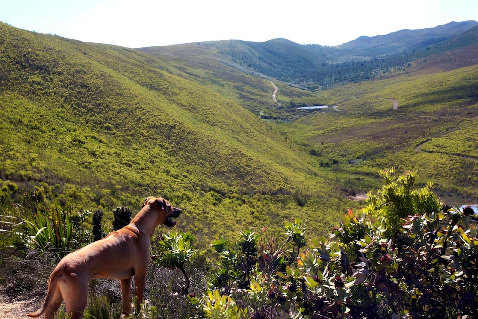 Overberg Accommodation at  | Viya