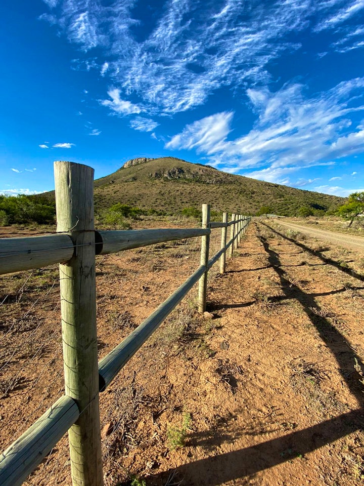 Eastern Cape Accommodation at Waterval Farm-Stay | Viya