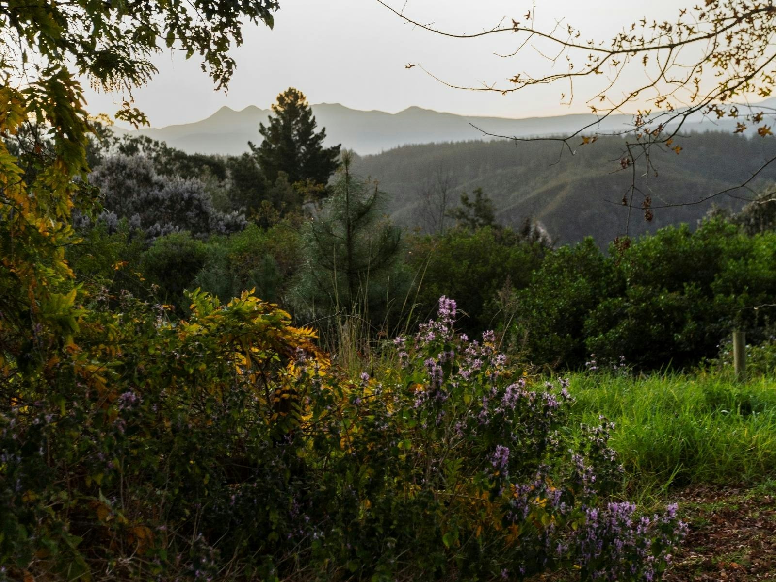 Forest Valley Cottages image no 15 of 21