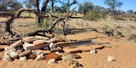 Northern Cape Accommodation at Murray Gasteplaas | Viya