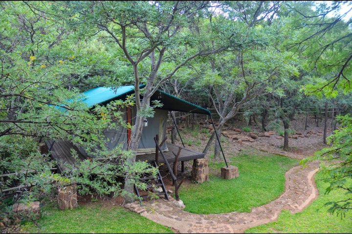 Limpopo Accommodation at Sundowner Bushcamp | Viya