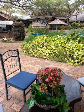 KwaZulu-Natal Accommodation at Ascot Bush Lodge | Viya