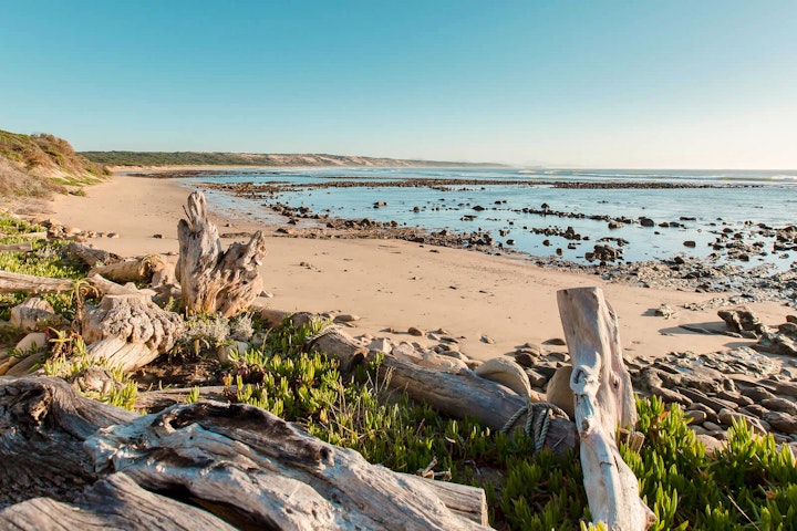 Garden Route Accommodation at Kanon Private Nature Reserve | Viya