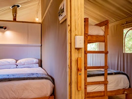 Western Cape Accommodation at AfriCamps at Ingwe | Viya