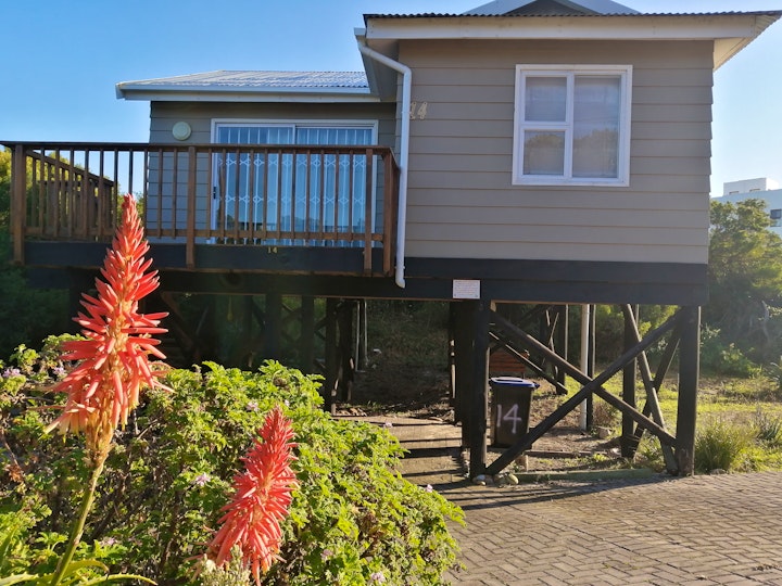 Eastern Cape Accommodation at Home Abalone | Viya