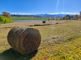 Drakensberg Accommodation at Wildsani Rustic Berg Accommodation | Viya