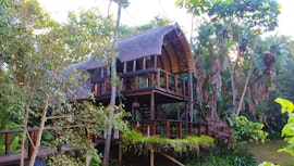 Wild Frontier Accommodation at  | Viya