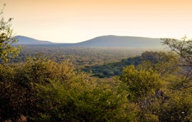 Waterberg Accommodation at Thulani Game Lodge & Eco Estate | Viya