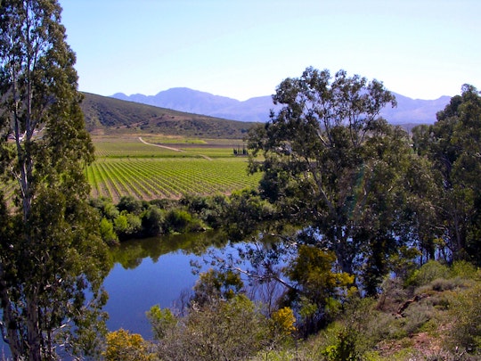 Cape Winelands Accommodation at  | Viya