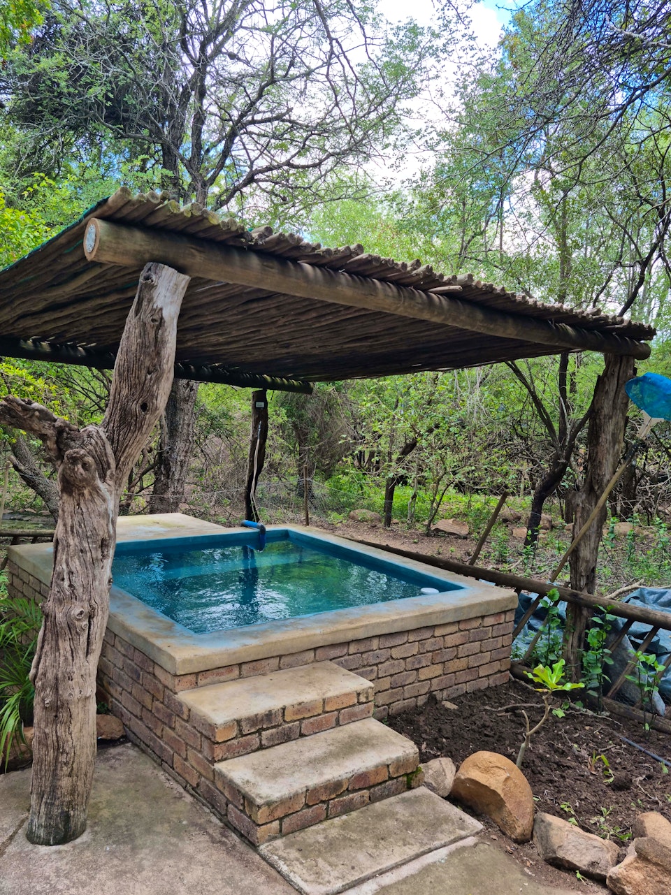 Kruger National Park South Accommodation at  | Viya