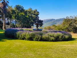 Soutpansberg Mountains Accommodation at Altyd Lente Gastehuis | Viya