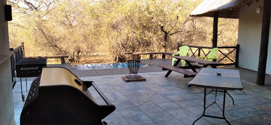 Kruger National Park South Accommodation at  | Viya