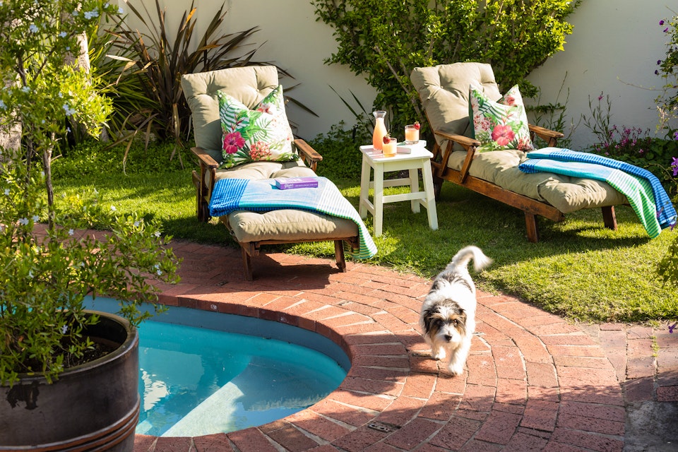 Plettenberg Bay Accommodation at  | Viya