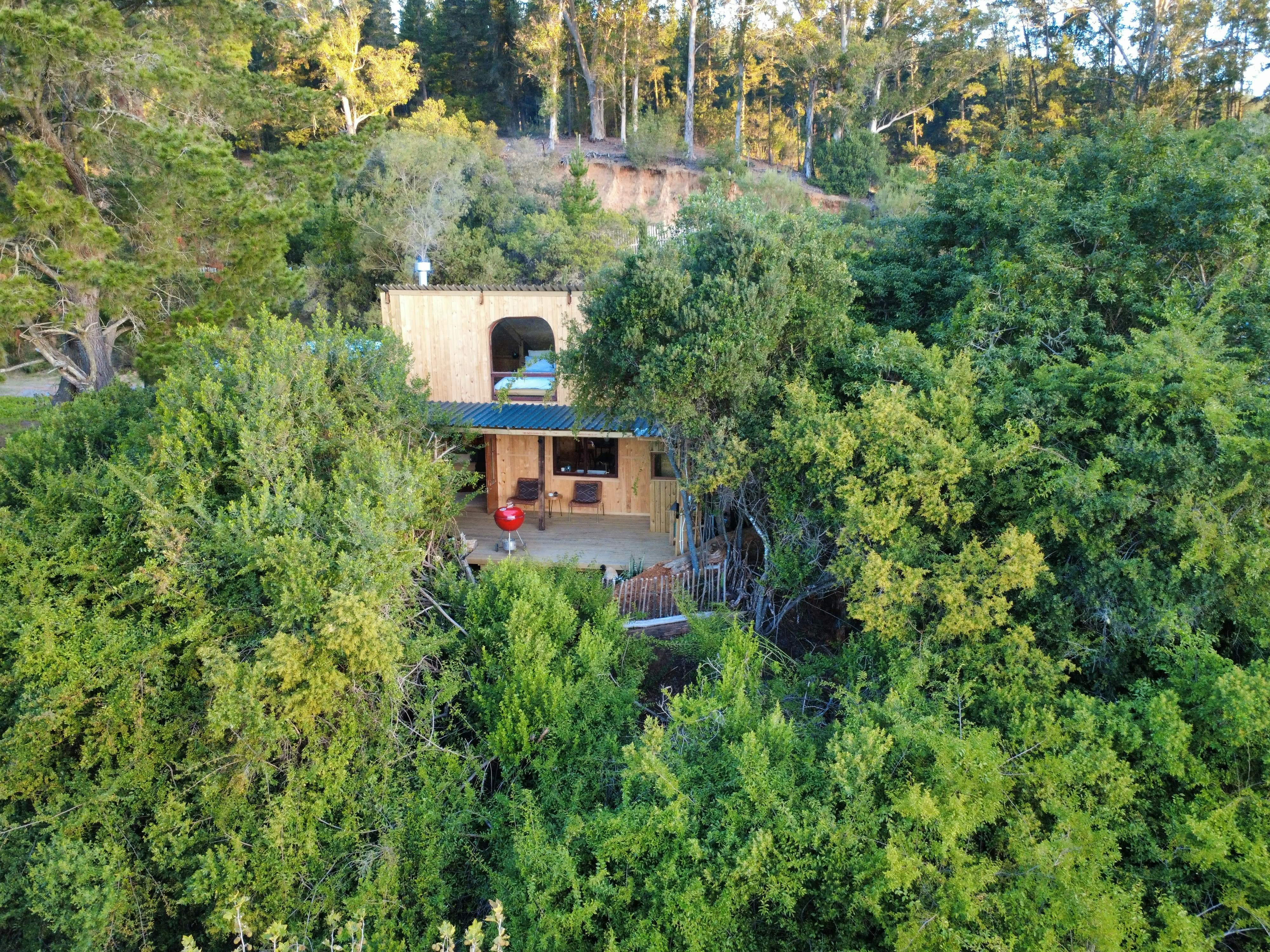 The Nest with Mountain Views at Soul Forest image no 2 of 61