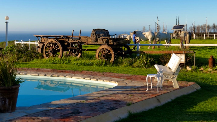 Garden Route Accommodation at TNiqua Stable Inn | Viya