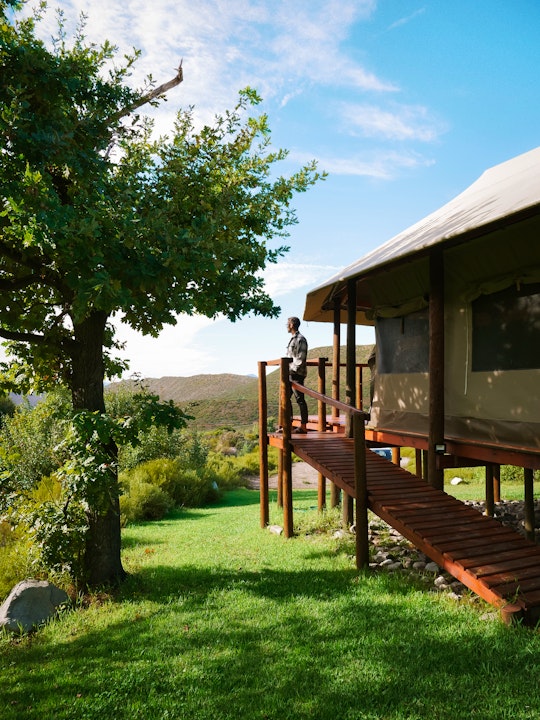 Western Cape Accommodation at  | Viya