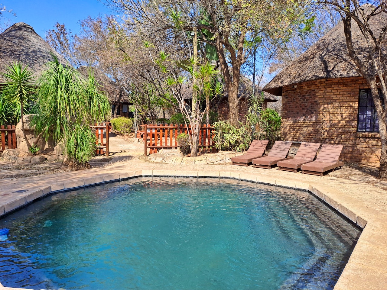 Kruger National Park South Accommodation at  | Viya