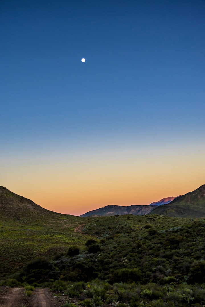 Western Cape Accommodation at Tibani Nature Reserve | Viya
