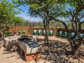 Dinokeng Game Reserve Accommodation at Chameleon Bush Lodge | Viya