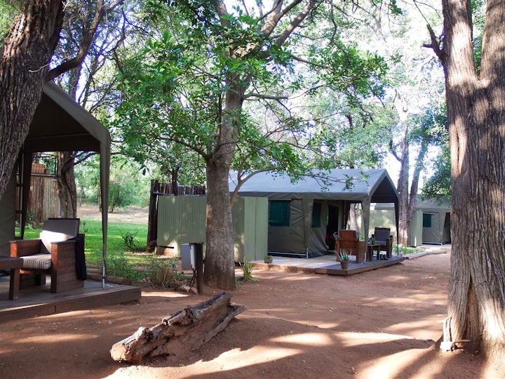 Lowveld Accommodation at NDzuti Tented Bush Camp | Viya