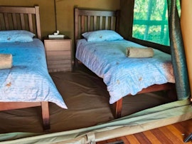 North West Accommodation at Gecko Camp Spitskop Game Farm | Viya