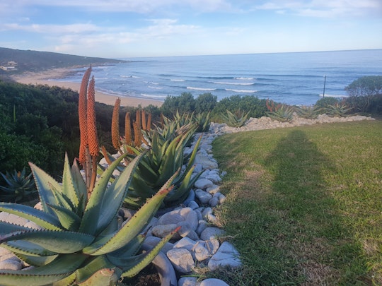 Garden Route Accommodation at  | Viya