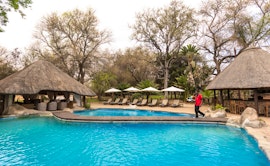 Limpopo Accommodation at Shiduli Private Game Lodge | Viya