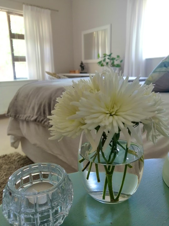 Western Cape Accommodation at  | Viya