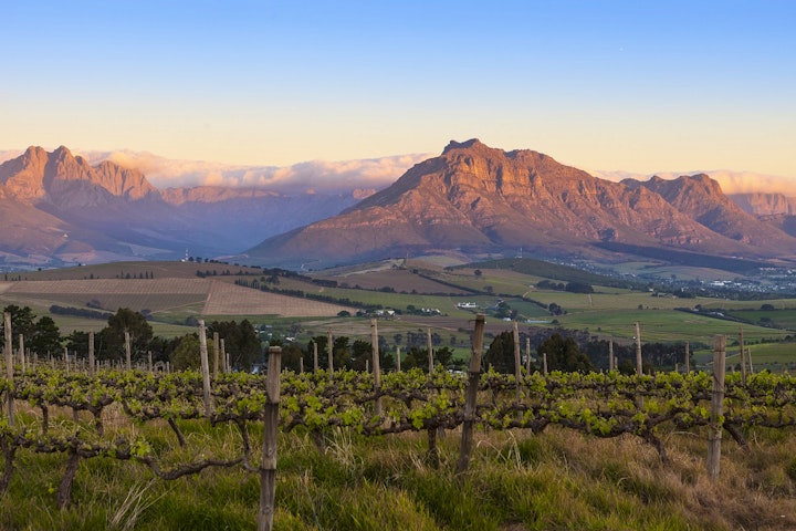 Western Cape Accommodation at Domaine Coutelier | Viya