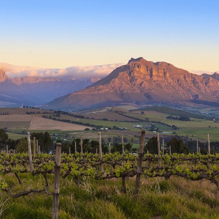 Western Cape Accommodation at Domaine Coutelier | Viya