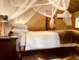 Kruger National Park South Accommodation at  | Viya