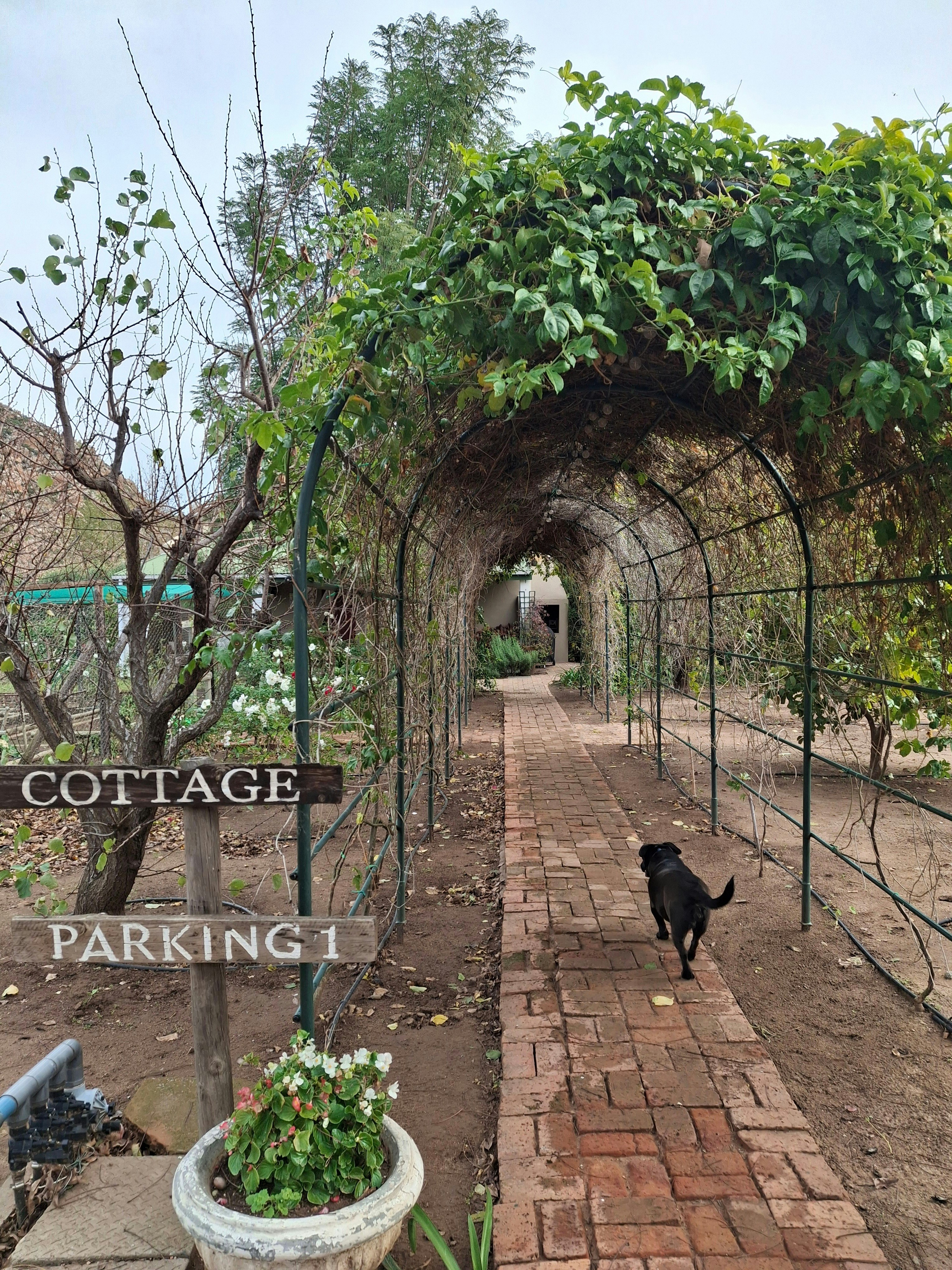 Cottage on Long image no 22 of 23