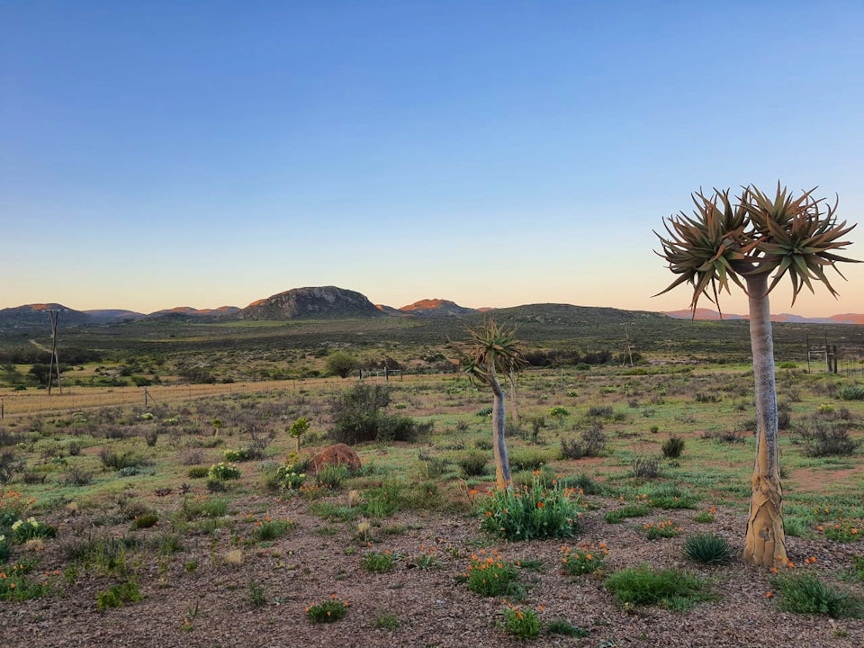 Namaqualand Accommodation at  | Viya