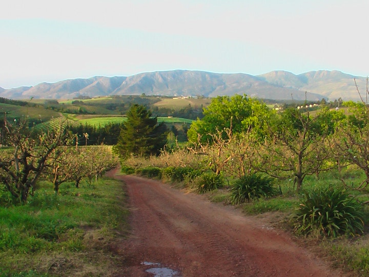 Overberg Accommodation at Lavender Cottages and Libertas House | Viya