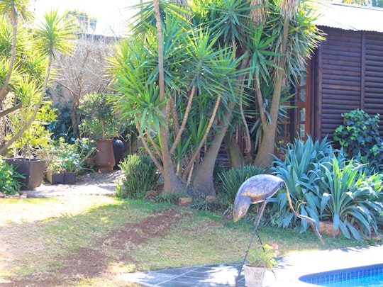 Johannesburg Accommodation at  | Viya