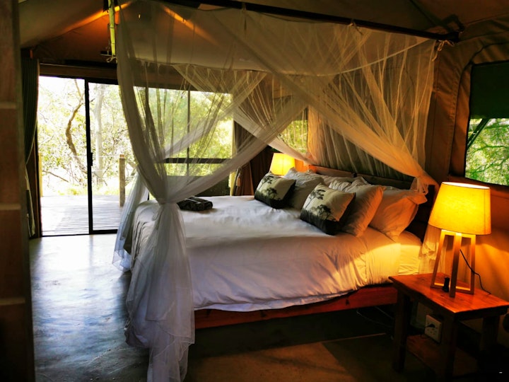 Mpumalanga Accommodation at Little Africa Safari Lodge | Viya