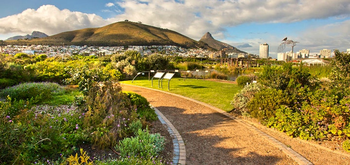 Cape Town Accommodation at Harbour Terrace 14 | Viya