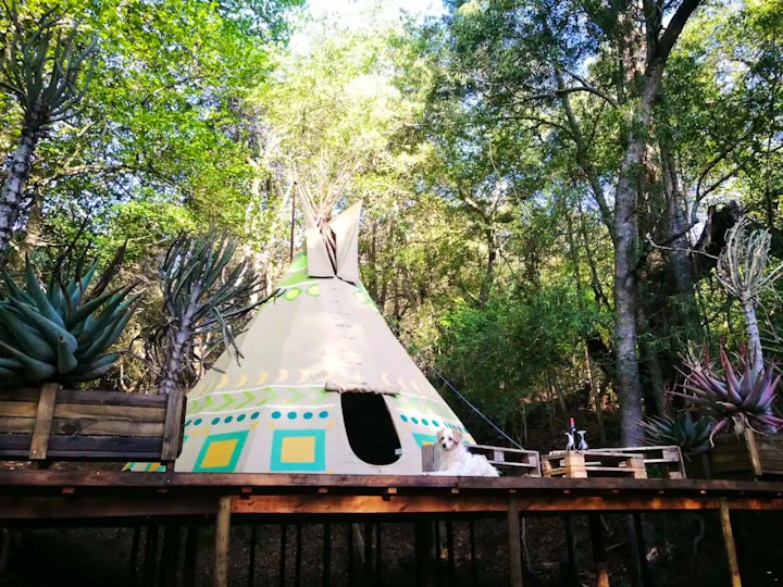 Amathole District Accommodation at The Magical Teepee Experience | Viya