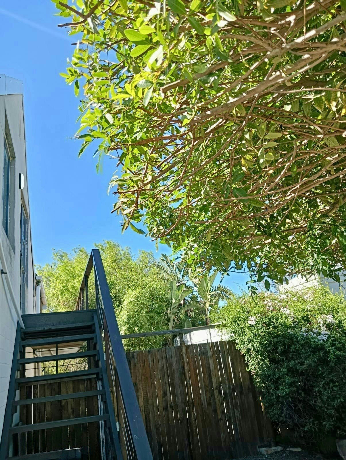 Treetop 1 Bedroom Apartment image no 4 of 21