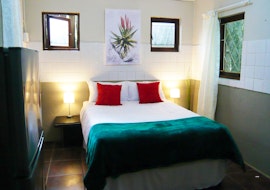 Wild Coast Accommodation at  | Viya