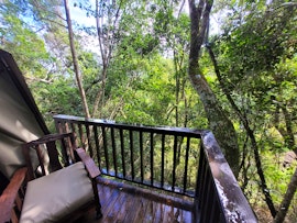 Garden Route Accommodation at Forest Glamping | Viya