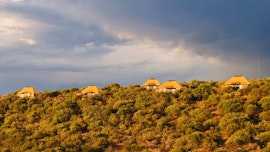 Free State Accommodation at Amanzi Game Reserve | Viya