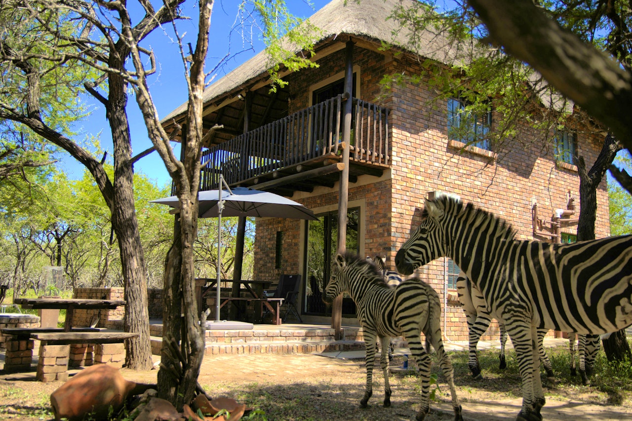 Kruger National Park South Accommodation at  | Viya