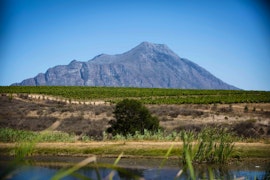 Boland Accommodation at Manley Wine Estate | Viya