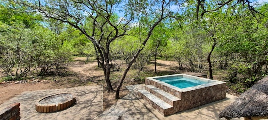 Kruger National Park South Accommodation at  | Viya