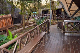 Kruger National Park South Accommodation at  | Viya