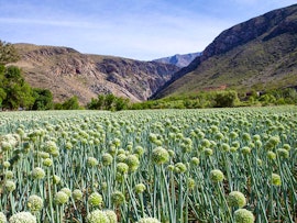 Western Cape Accommodation at Varkenskraal Farm | Viya