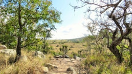 KwaZulu-Natal Accommodation at Cumberland Nature Reserve | Viya