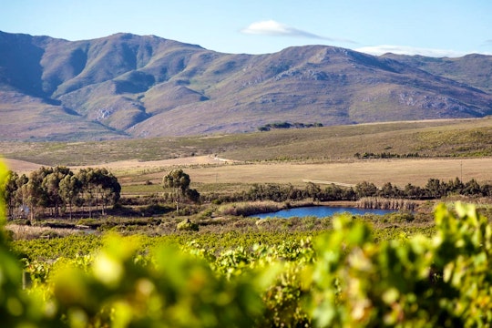 Overberg Accommodation at  | Viya